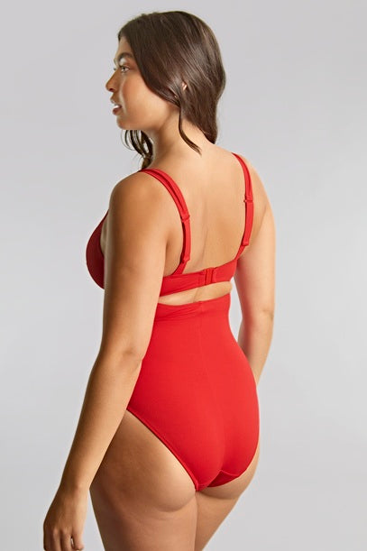Panache Aurora Lara Plunge Swimsuit